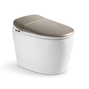 One Piece Smart Toilet Automatic With Sensor Seat Electric/Electronic Smart Toilet