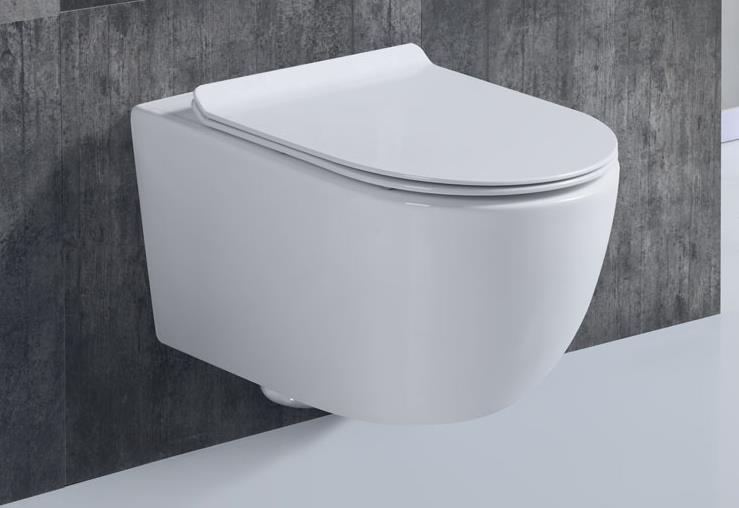 wall-hung-toilet2