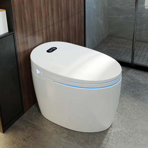 How To Install A Smart Toilet In Your Bathroom China Smart Toilet China Intelligent Toilet 7986