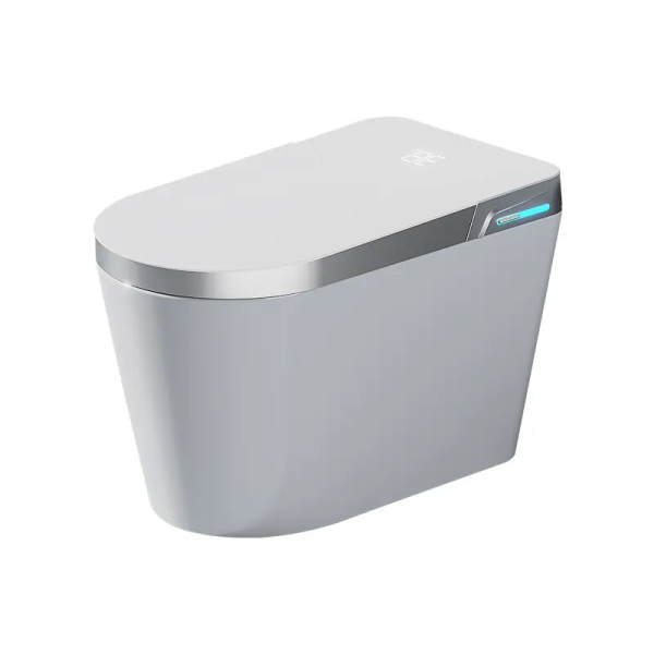 The Pros and Cons of Smart Toilets - China Smart Toilets, Intelligent ...